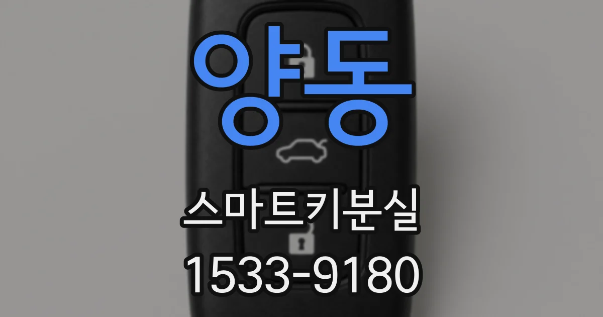 양동 스마트키분실