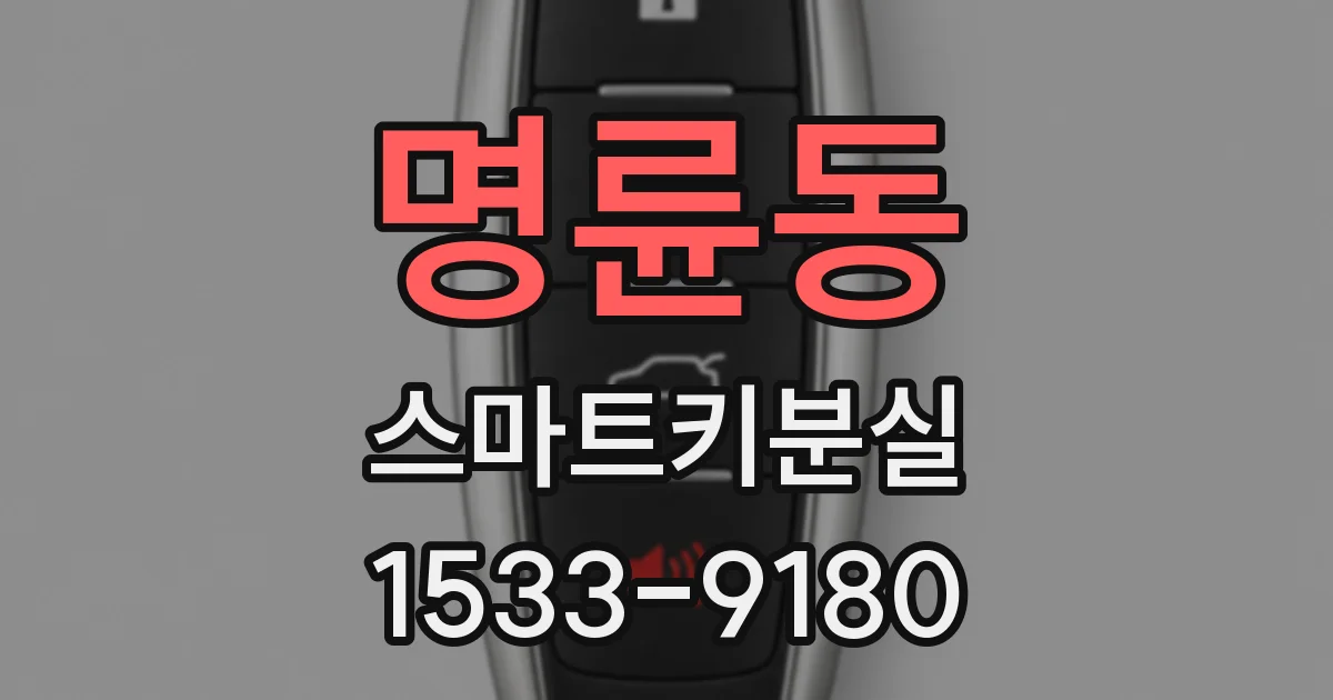 명륜동 스마트키분실