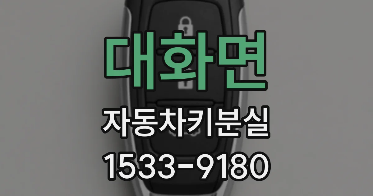 대화면 자동차키분실