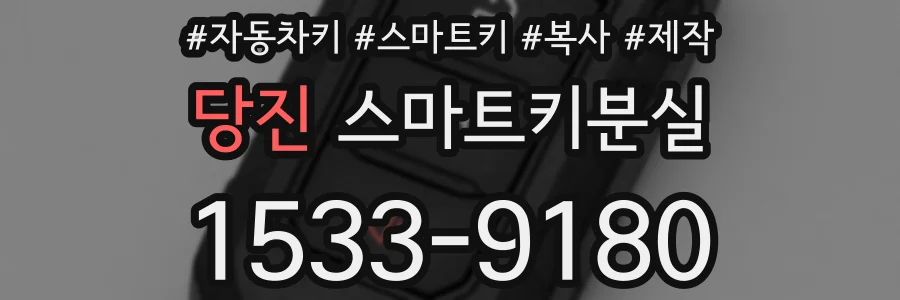 당진 스마트키분실