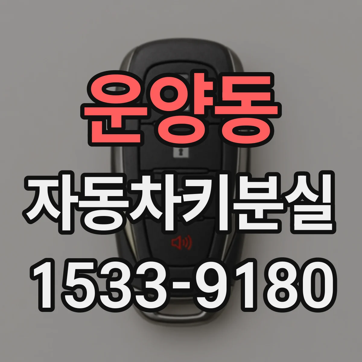 운양동 자동차키분실
