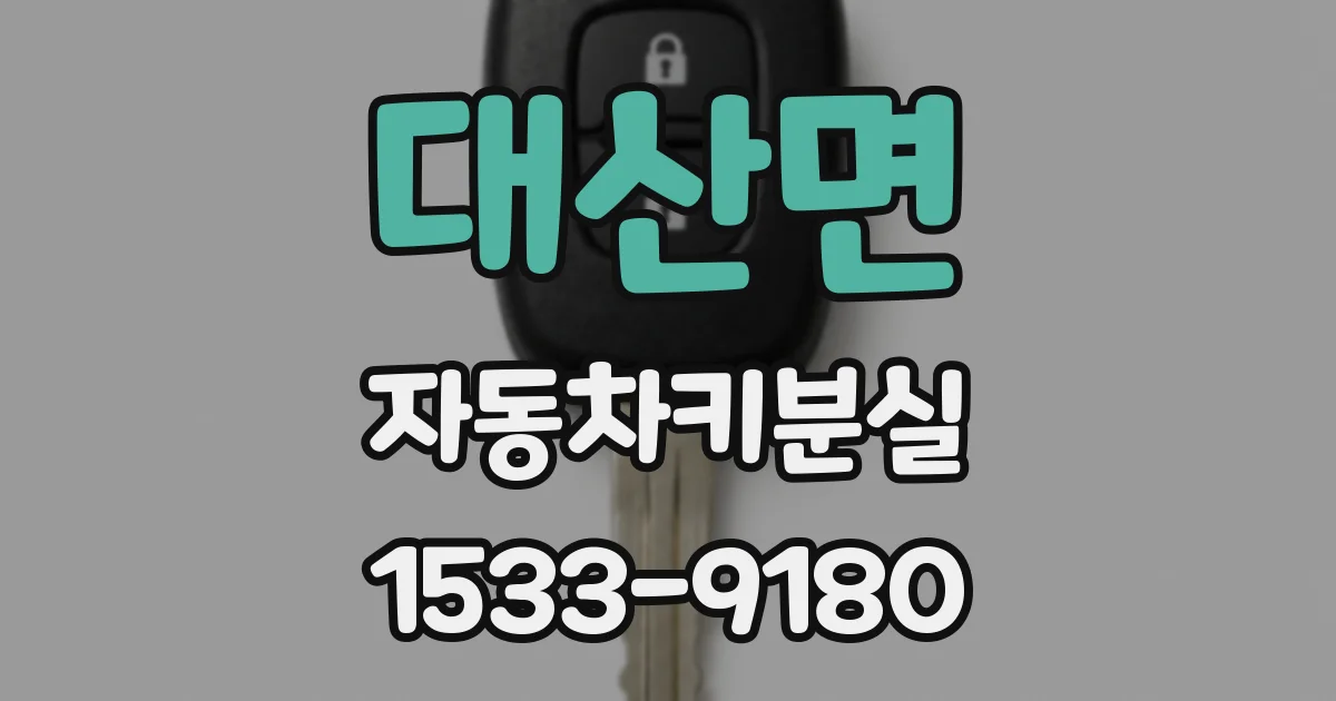 대산면 자동차키분실