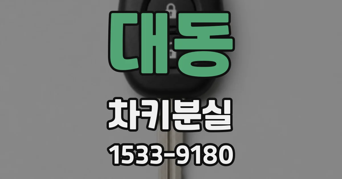 대동 차키분실