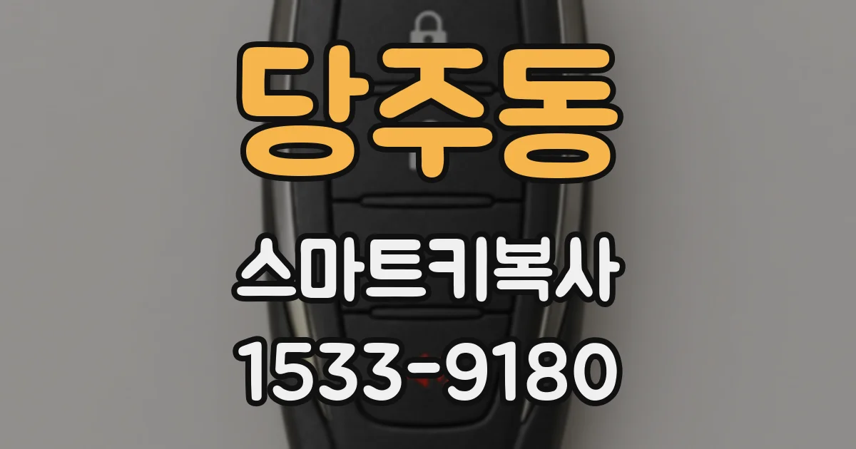 당주동 스마트키복사