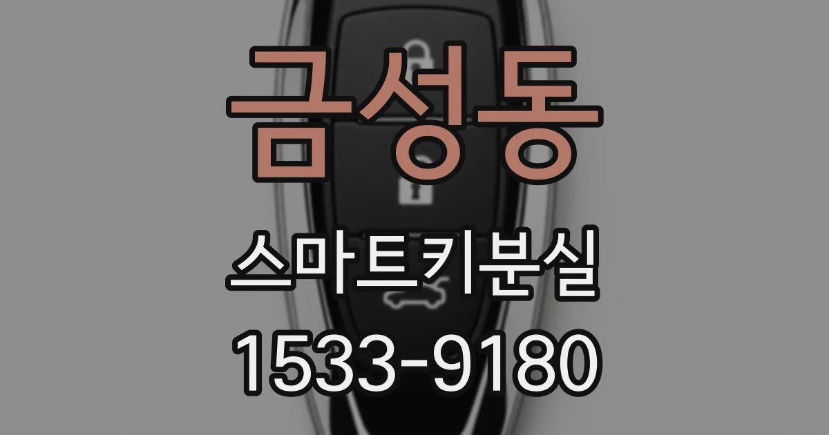 금성동 스마트키분실
