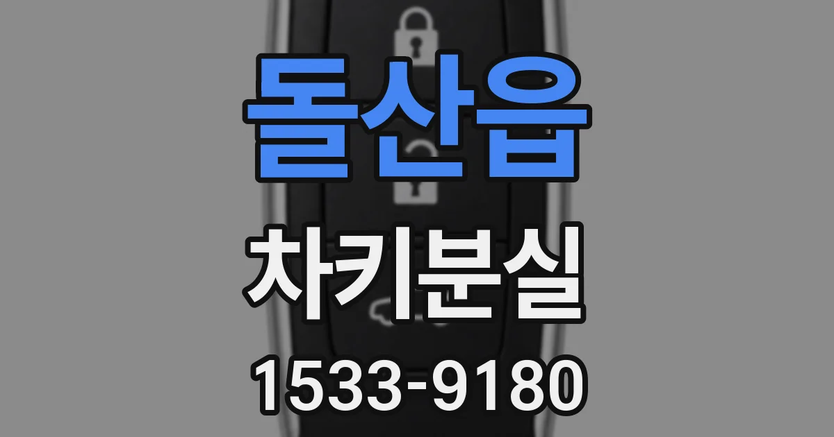 돌산읍 차키분실