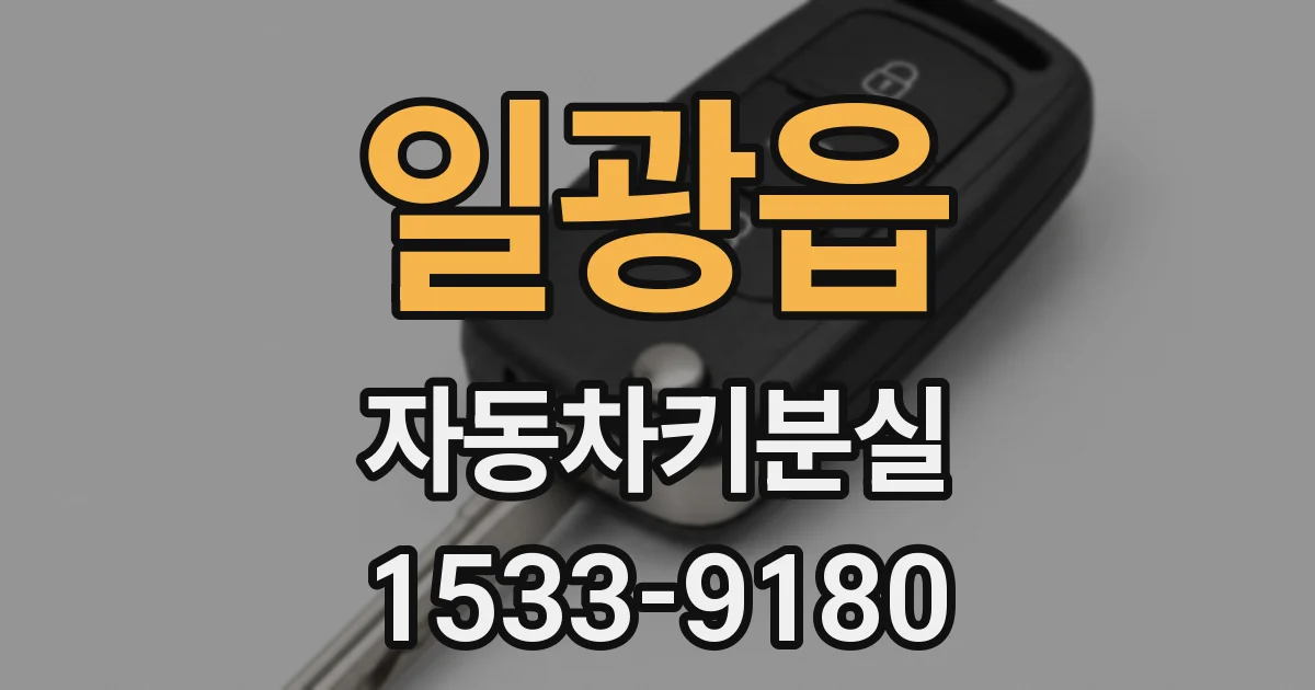 일광읍 자동차키분실