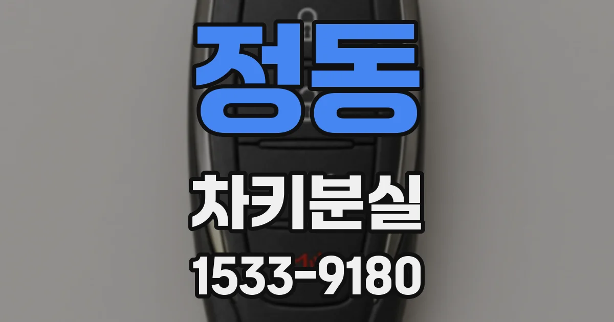 정동 차키분실