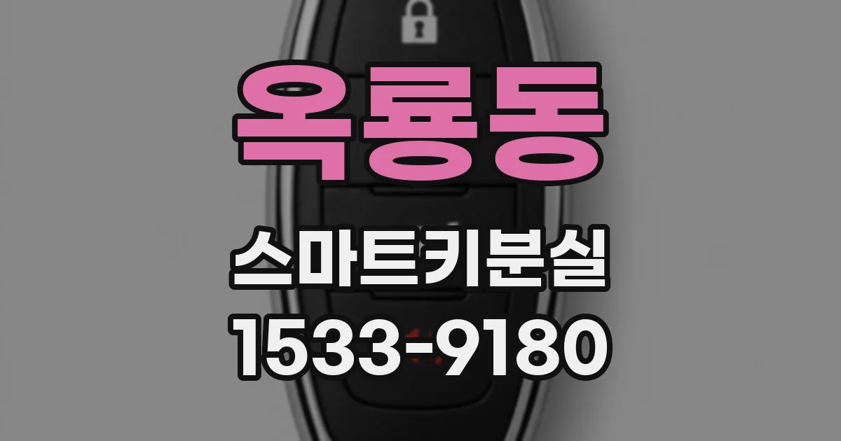 옥룡동 스마트키분실