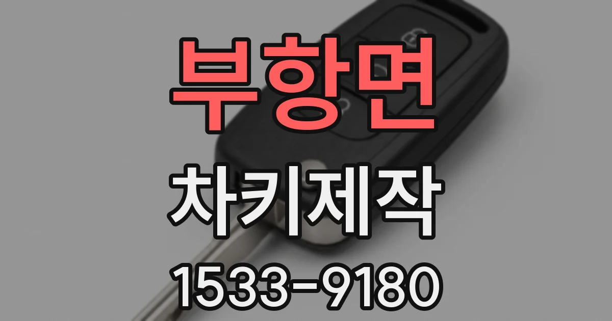 부항면 차키제작