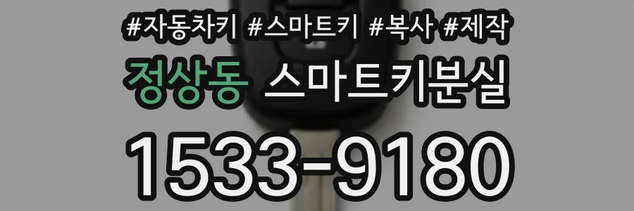 정상동 스마트키분실