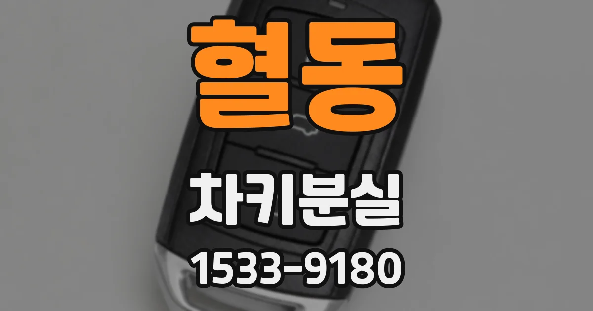 혈동 차키분실