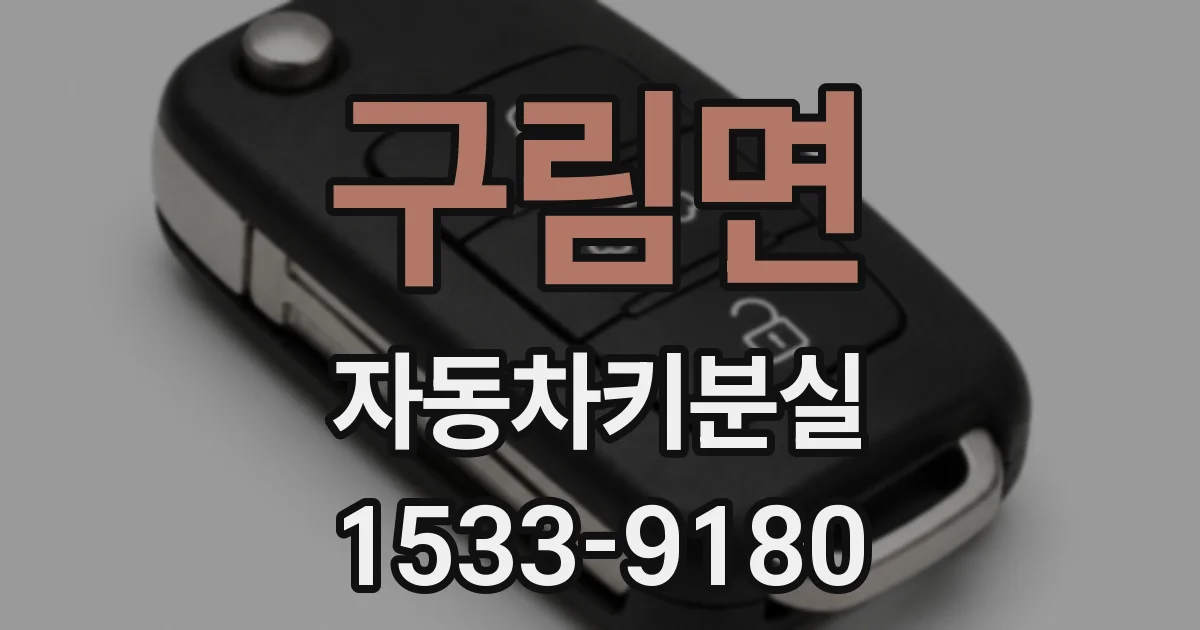 구림면 자동차키분실