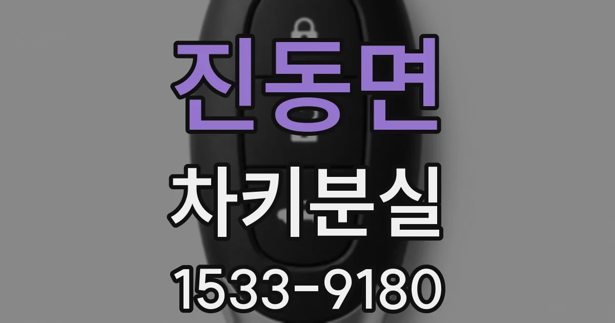 진동면 차키분실