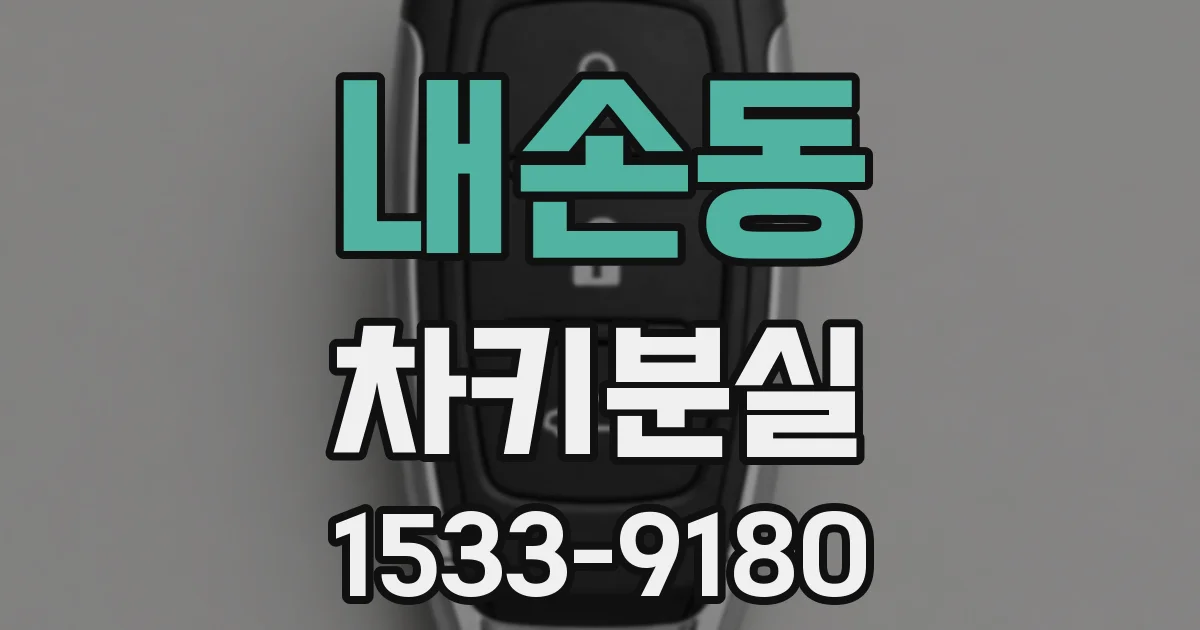내손동 차키분실
