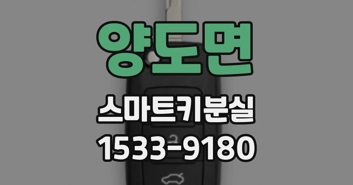 양도면 스마트키분실