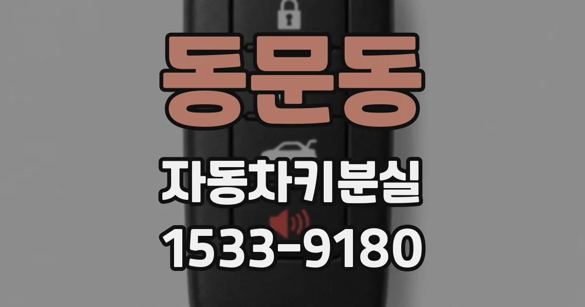 동문동 자동차키분실