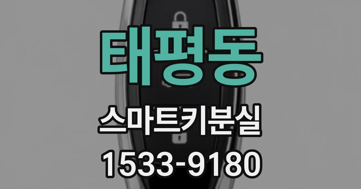 태평동 스마트키분실