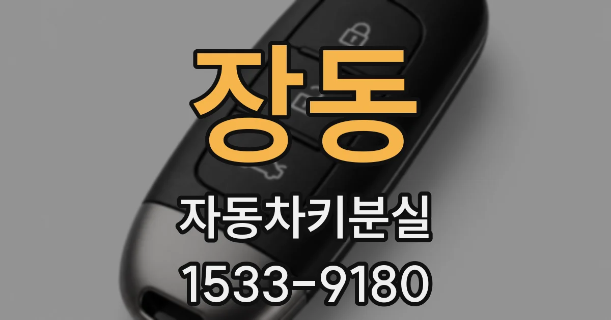 장동 자동차키분실