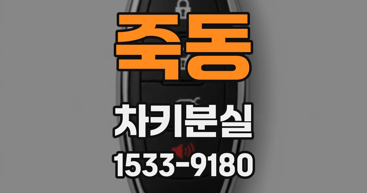 죽동 차키분실