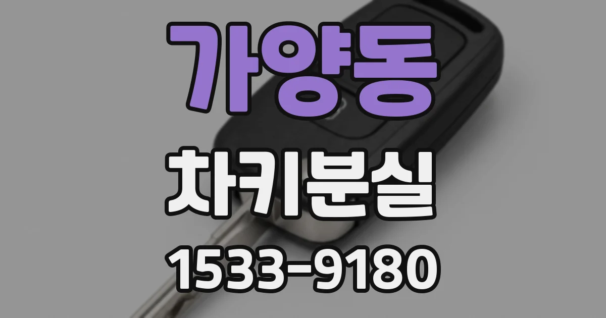 가양동 차키분실