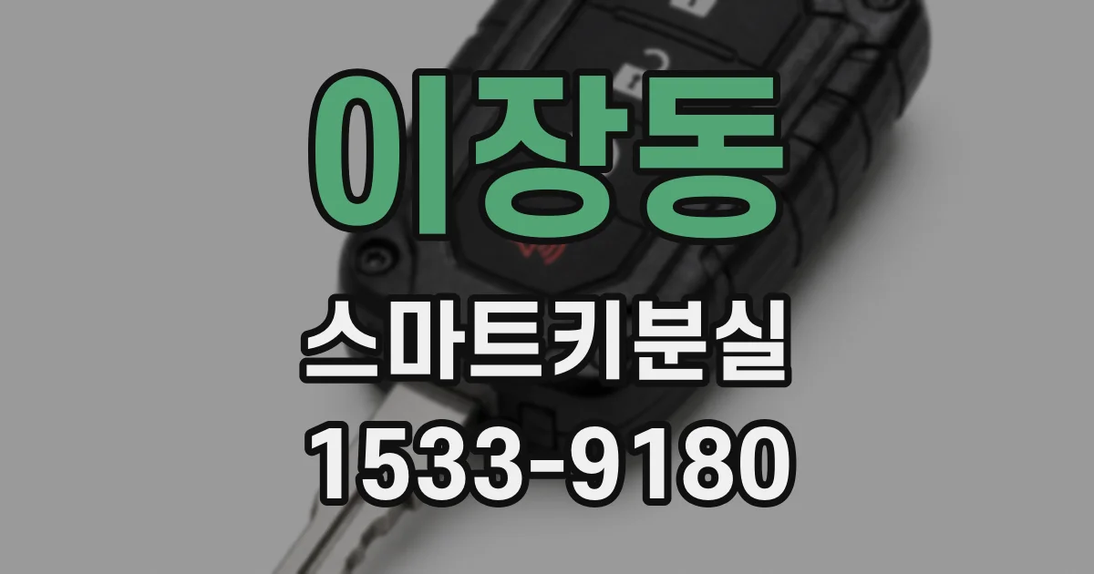 이장동 스마트키분실