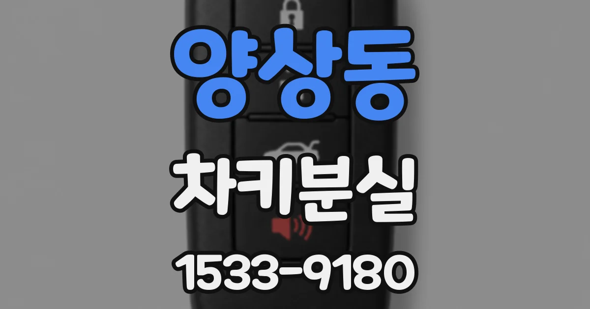 양상동 차키분실