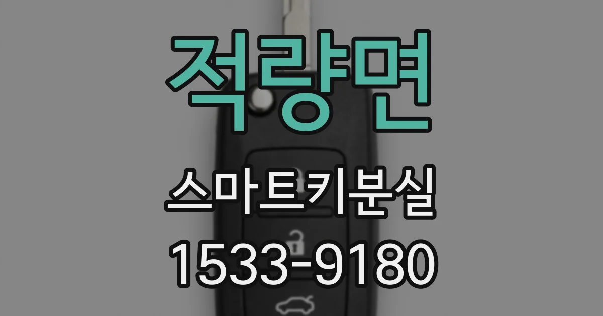 적량면 스마트키분실