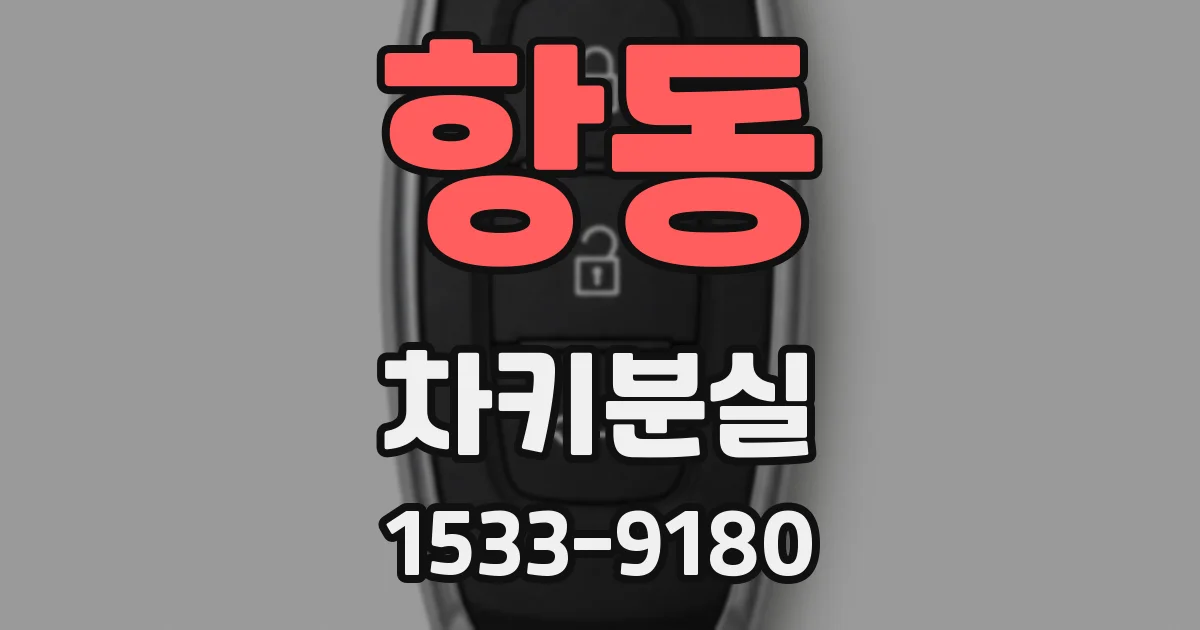 항동 차키분실