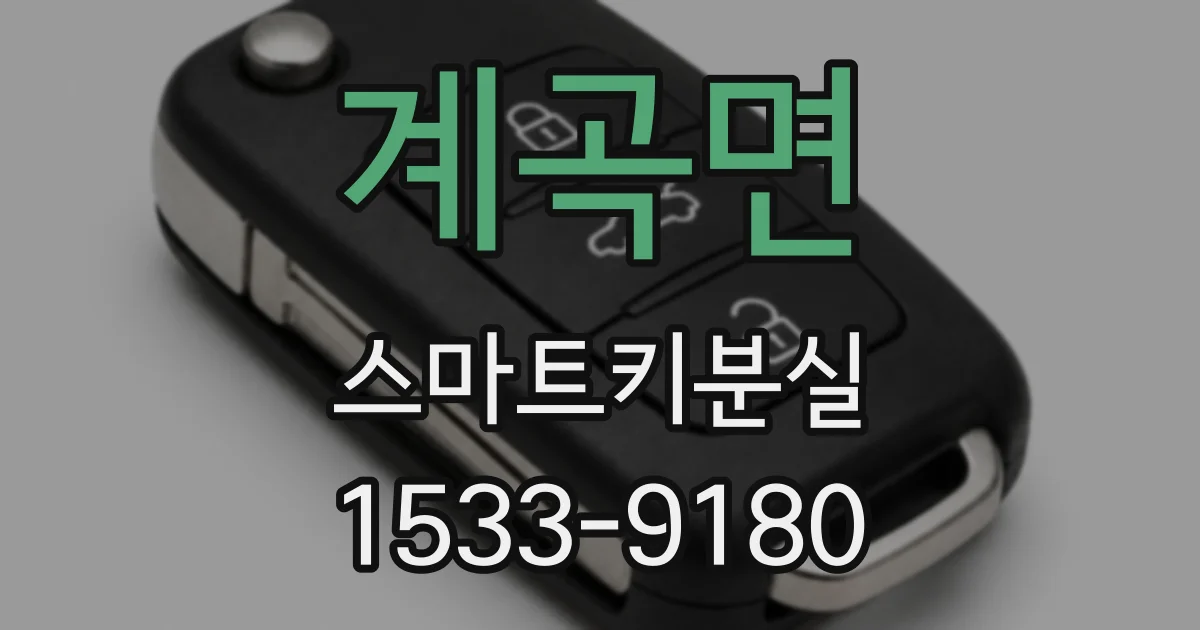 계곡면 스마트키분실