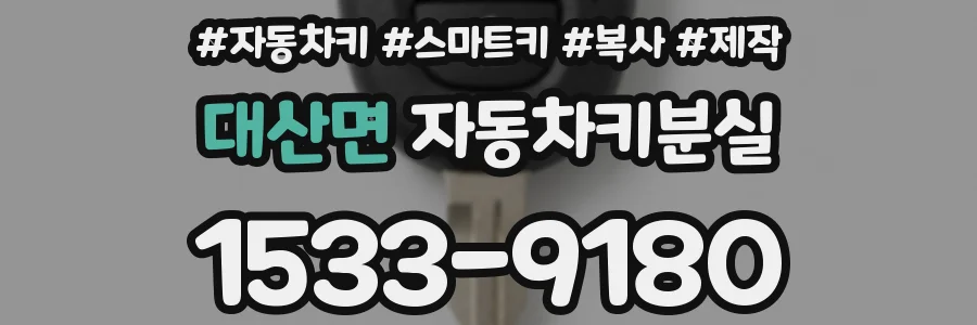 대산면 자동차키분실