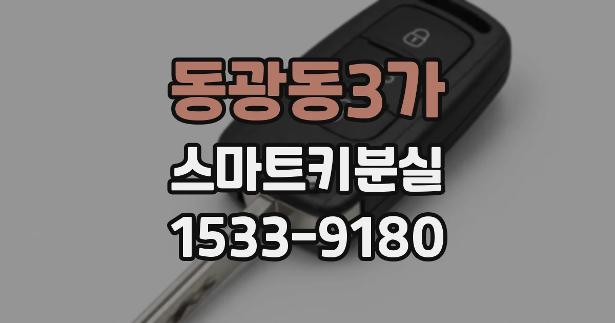 동광동3가 스마트키분실