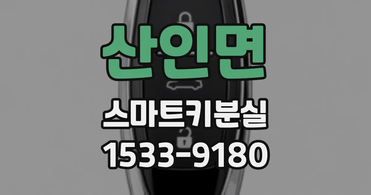 산인면 스마트키분실