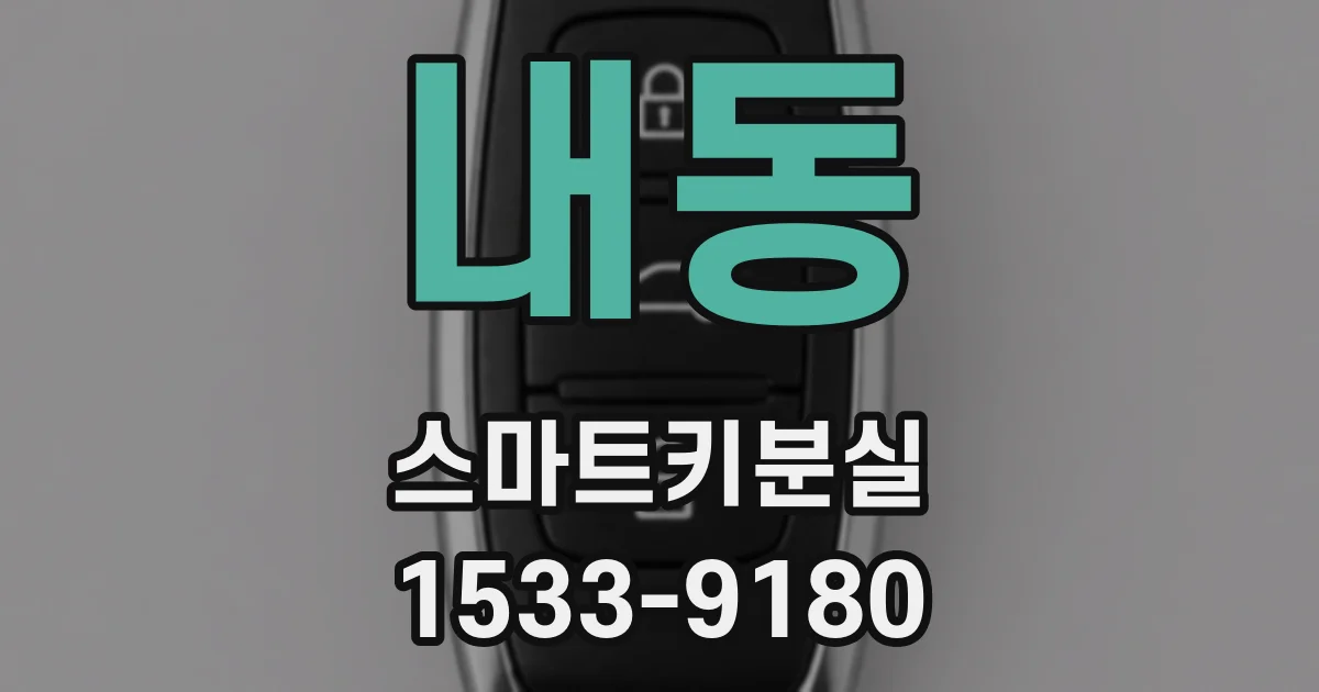 내동 스마트키분실