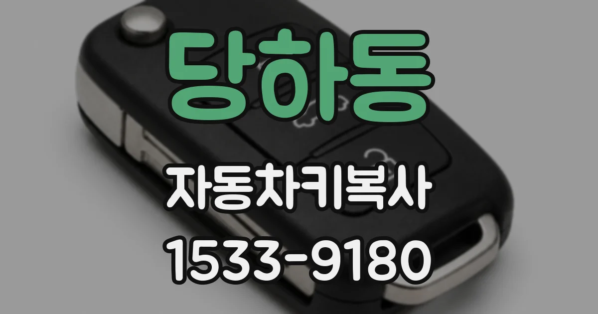 당하동 자동차키복사