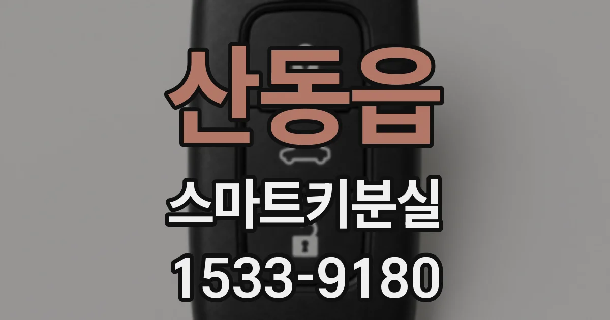 산동읍 스마트키분실