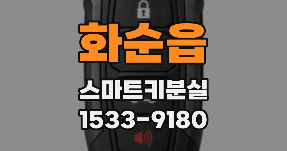 화순읍 스마트키분실
