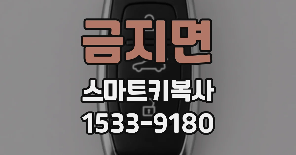 금지면 스마트키복사