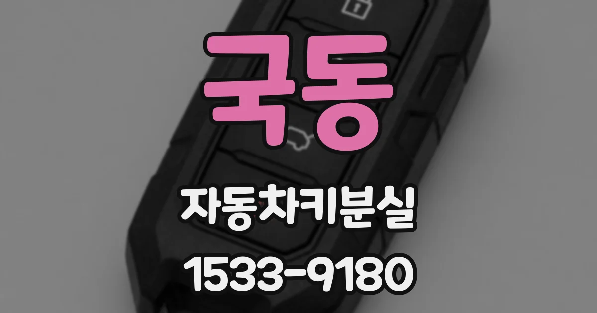 국동 자동차키분실