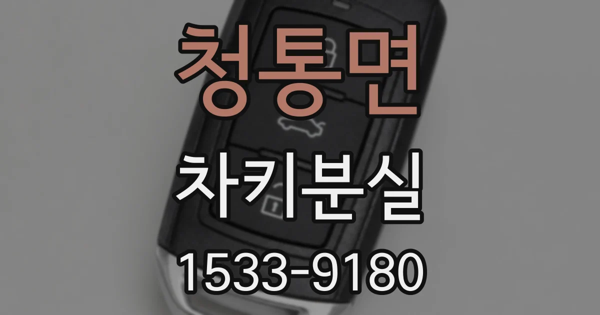 청통면 차키분실