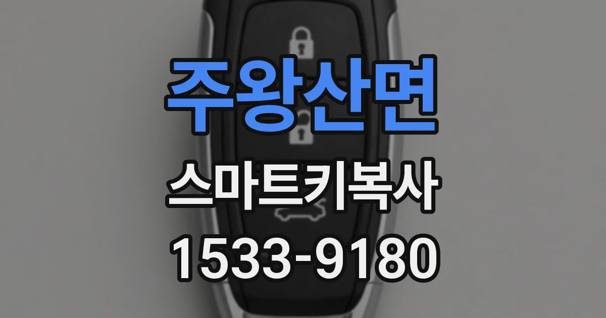 주왕산면 스마트키복사