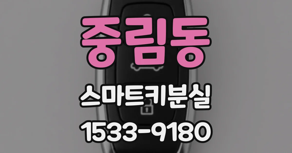 중림동 스마트키분실