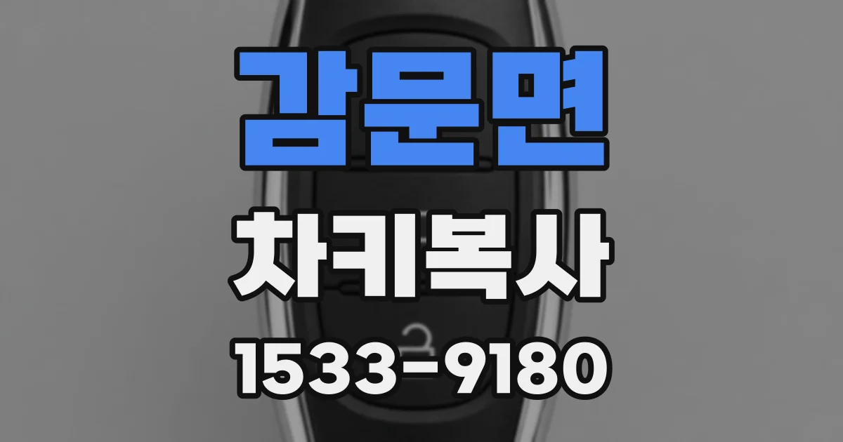 감문면 차키복사
