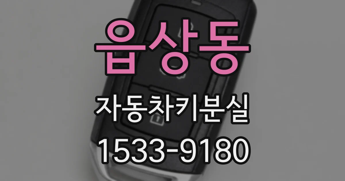 읍상동 자동차키분실