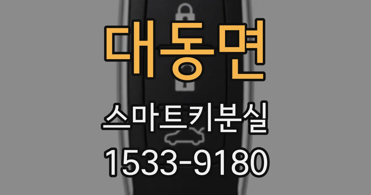 대동면 스마트키분실