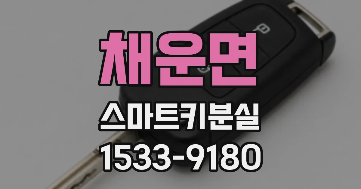 채운면 스마트키분실