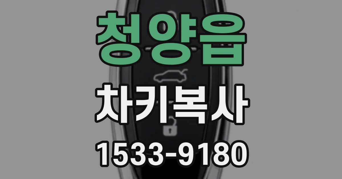 청양읍 차키복사
