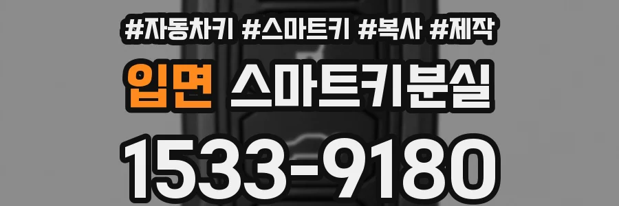 입면 스마트키분실