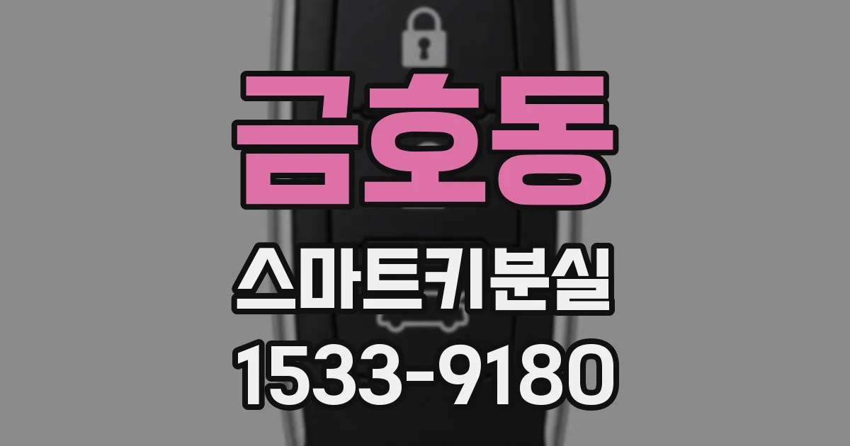 금호동 스마트키분실