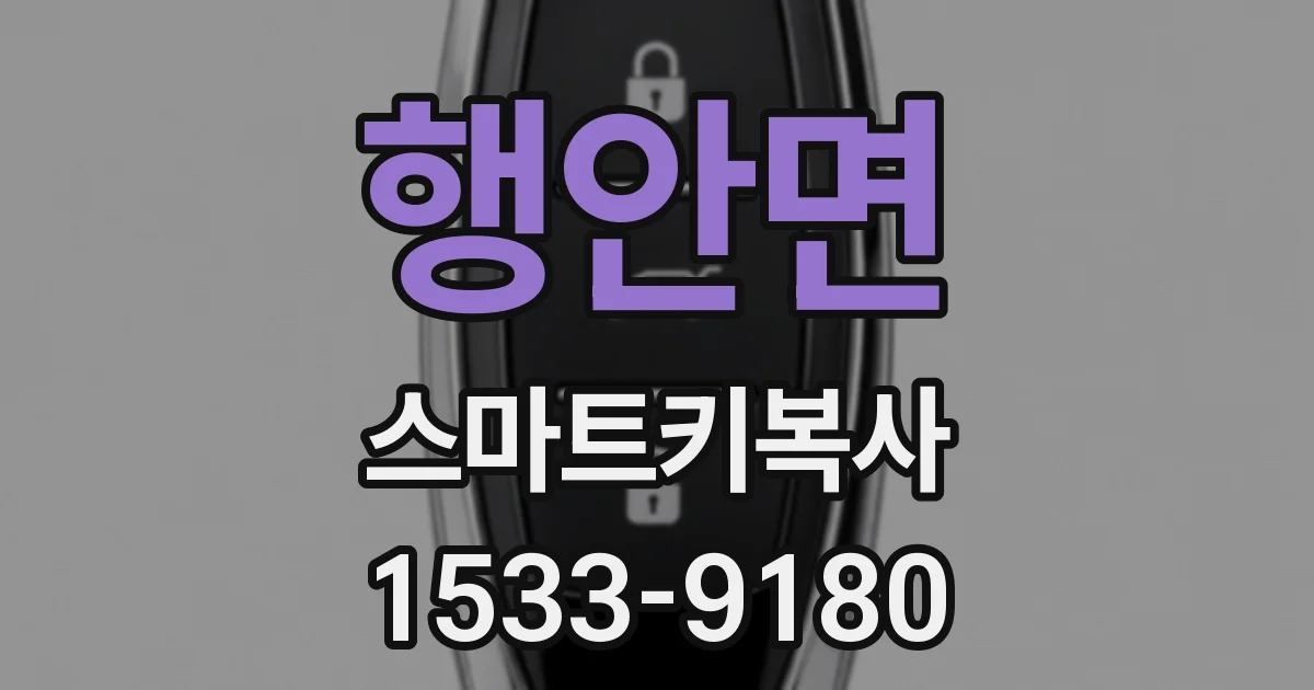 행안면 스마트키복사